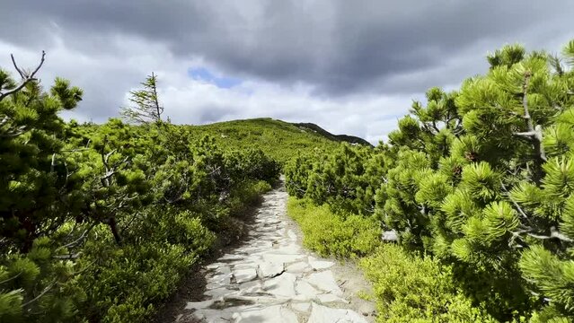 Stone steps in the polish mountains - path to babia gora mountain - 4k HDR footage
