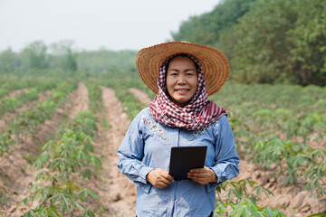 Asian woman farmer is at  cassava plantation in rural of Thailand, holds smart tablet to check and...