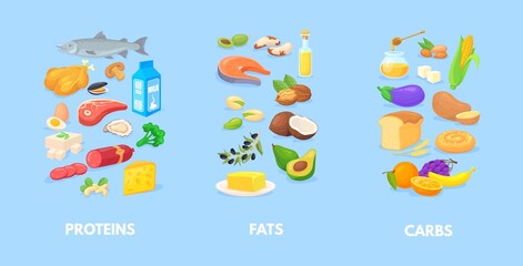 Healthy macronutrients. Nutrition chart of carbohydrates fats proteins, complex diet macros food, carbs healthy balance, vegetables seafood meal antioxidants, cartoon neat vector