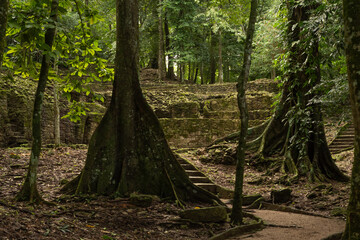 View of the archaeological site of Palenque, Mexico