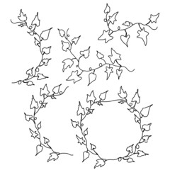 set of one line art of botanical grape leaf bouquet in minimal design
