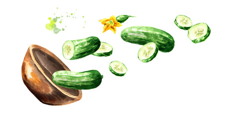 Bowl with fresh Cucumbers, Watercolor hand drawn illustration, isolated on white background