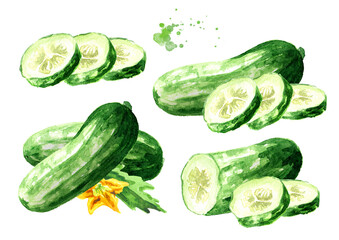 Cucumber composition set,  Watercolor hand drawn illustration, isolated on white background