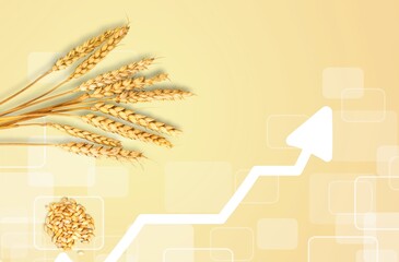 Increase in price of wheat seedson graph. Concept of crisis, shortage of grain crops. Exchange quotes. Harvesting concept