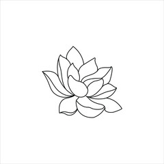 illustration of lotus flower