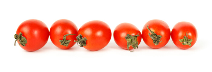 Ripe red tomatoes in a row on a white background.