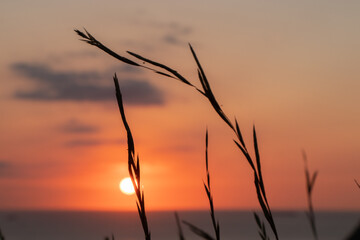 Landscape of a sunset on the coast in summer