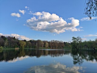 Reflection of trees in the lake