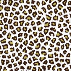 
vector drawn leopard print on white background