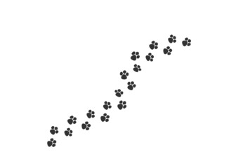 Paw print trail icon. Footprint dog, cat symbol. Sign canine mark vector.