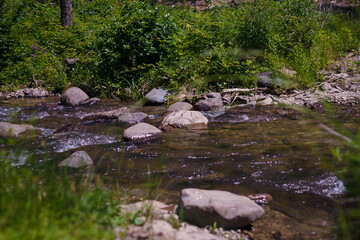 Naklejka na ściany i meble Mountain river or streamlet among stones and fresh greenery in summer by day light