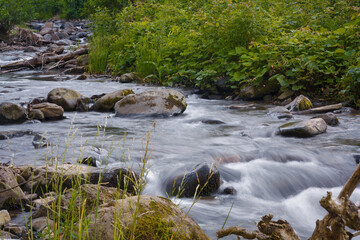 Long exposure shot of smooth water surface of Ukrainian Carpathian mountains river flowing among...