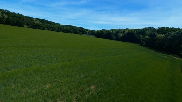 FPV DRONE SHOT - Flight over green field and around a red container