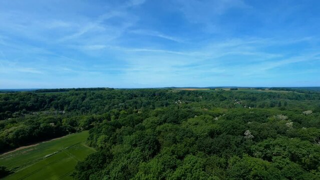 FPV DRONE SHOT - Flight above field and trees