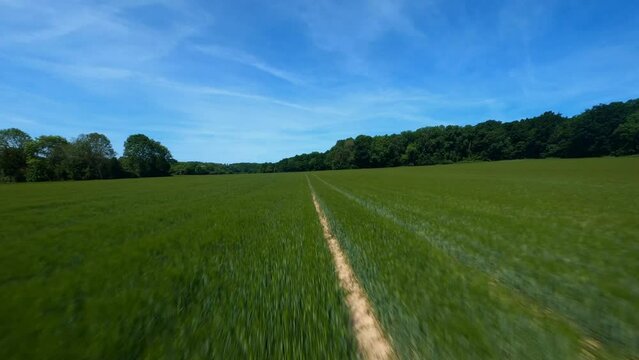FPV DRONE SHOT - Flight close to the ground and line tracking