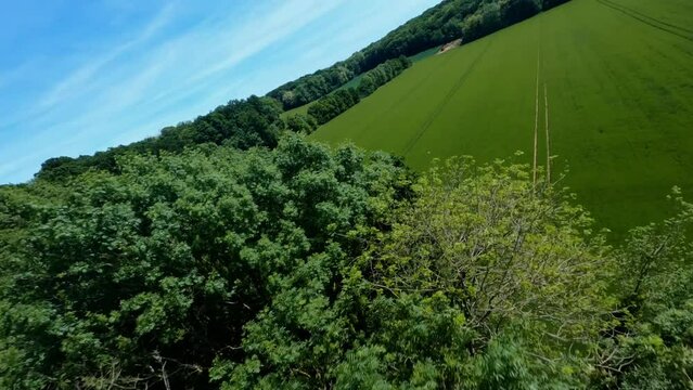 FPV DRONE SHOT - Flying between trees and freestyle