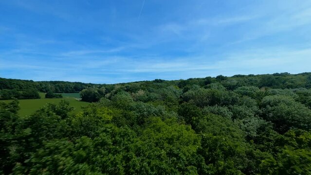 FPV DRONE SHOT - Flight above forest