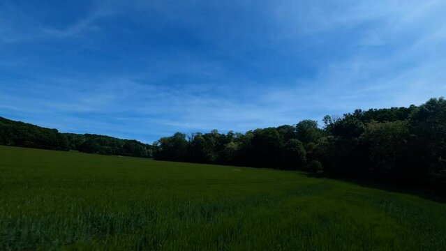 FPV DRONE SHOT - Flight over green field