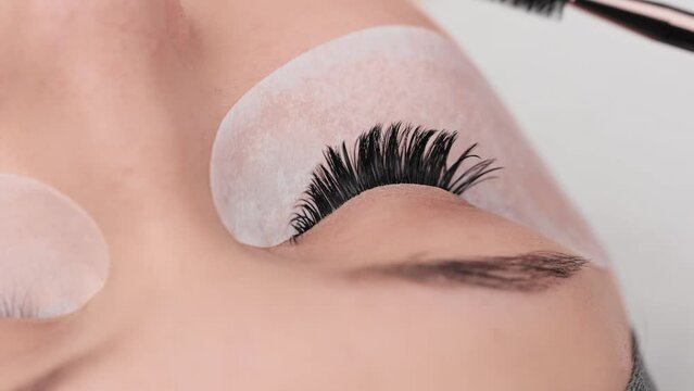 Eyelash extension procedure. Professional beauty master combing female lashes with special mascara brush. Fake eyelashes. Eyelashes extensions close up. Makeup artist and client in beauty salon.