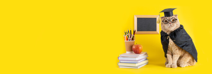 Back to school banner, cat student in a cap and mantle on yellow background with school accessories. Sale, promotion, discount. Concept of school, study, distant education. online courses. Copy space