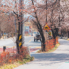 autumn in the city