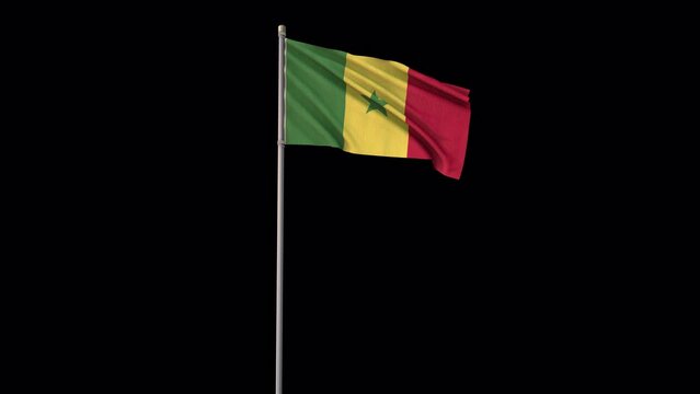 Senegal flag, 4k video background is transparent