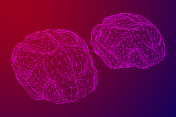 Brain. Low poly abstract digital human brain. Wireframe illustration.