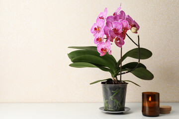 Beautiful blooming orchid and burning candle on white table near beige wall. Space for text