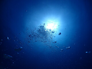 石垣島ダイビング・海底より海面を臨む