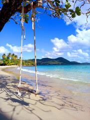 Close up of Swing on idyllic beach of the Caribbean Sea with turquoise water, coastal vegetation and tropical blue sky of the French Antilles. Caribbean nature and beaches.