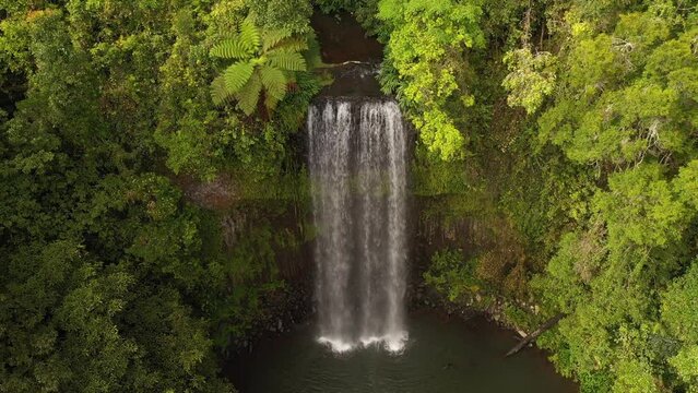 Millaa Millaa Falls waterfall tilt backward aerial with ferns and rainforest, Atherton Tablelands, Queensland, Australia