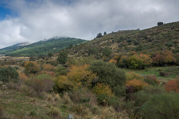 Views of the Mediano Stream, in the Hueco de San Blas Valley, a very popular place for hikers located in the municipality of Manzanares el Real, province of Madrid, Spain