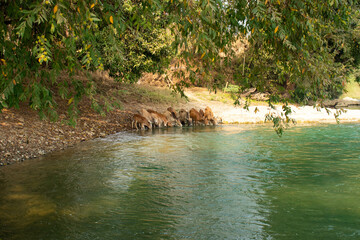 A beautiful panoramic view of Vang Vieng city in Laos.