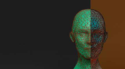 3d cyber virtual head © neurostructure