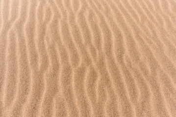 Fototapeta na wymiar Close up of beach sand texture, background