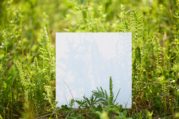 empty sheet of white paper in the grass on a sunny lawn. invitation mockup with place for text. banner layout with summer mood. nature sunny background, with selective focus