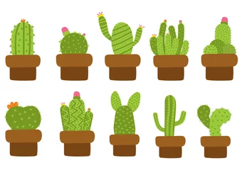 Fotobehang Cactus in pot Verzameling van cartoon cactusplant Premium Vector