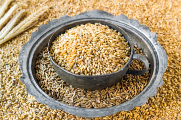 Natural,ripe wheat grains in the vintage metal bowl on grains background with wheat ears