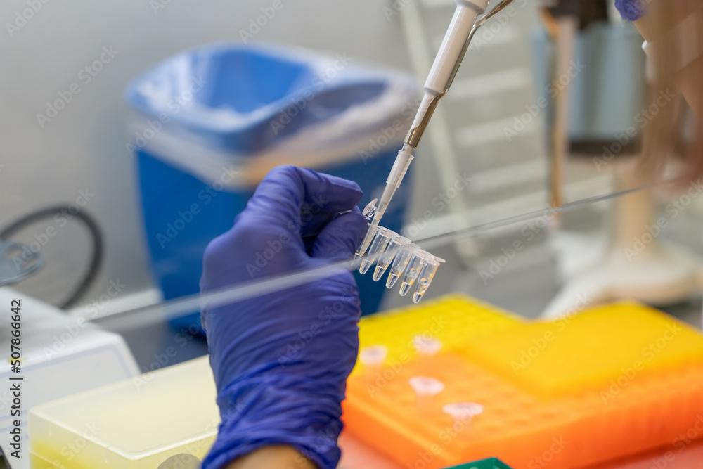 Poster scientist pipetting sample into vial for dna testing. scientist loads samples dna monkeypox amplific