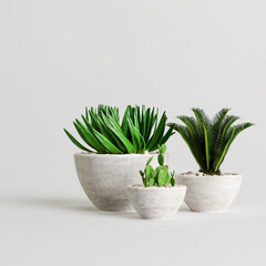 3d illustration of plant collection in stone potted isolated on white background