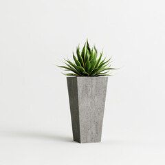 3d illustration of plant in concrete potted isolated on white background