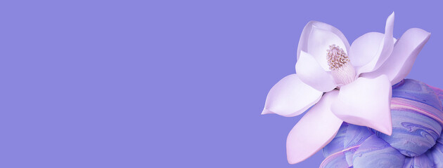 Beautiful lotus flower symbol of Zen and yoga on a lilac background.