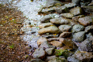 rocks in the rain