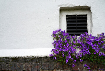air vent with purple flowers
