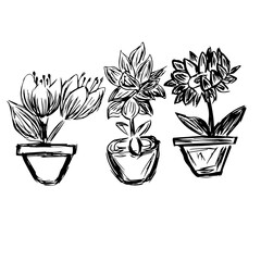 leaf icon vector illustration. Leaf handdraw art design