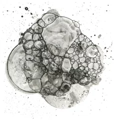 Poster Watercolor circle bubble blot drop splash. Graphic painting. Abstract texture black color stain on white background. © Liliia