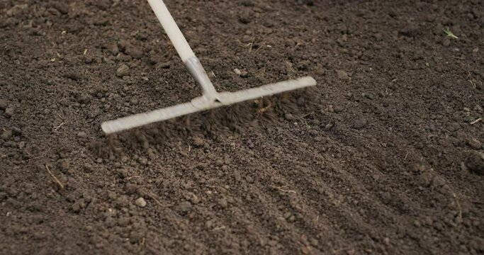 Work in the garden - rakes level the soil for planting
