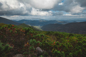 Fototapeta premium Kunashir Island