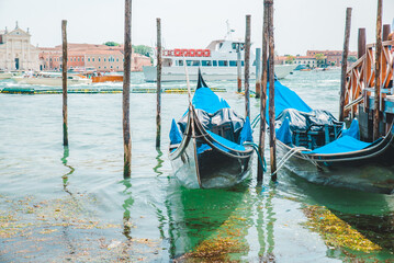 Fototapeta na wymiar gondolas boats in bay of venice city