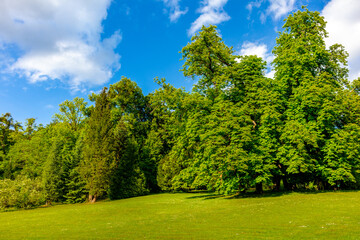 Sommerspaziergang im schönen Park in Altenstein bei Bad Liebenstein - Thüringen - Deutschland